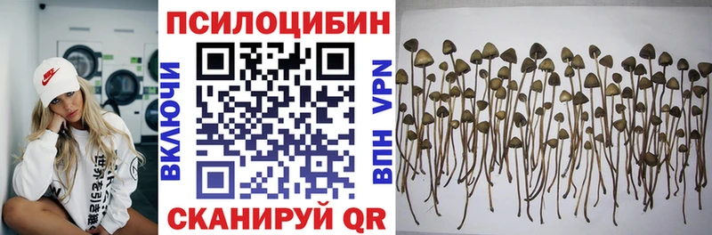 магазин продажи   Шадринск  Псилоцибиновые грибы Magic Shrooms 